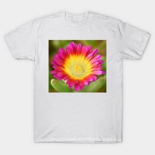 Delosperma cooperi  Hot Pink Wonder  &#39;Wowdry1&#39;  Wheels of Wonder Series T-Shirt